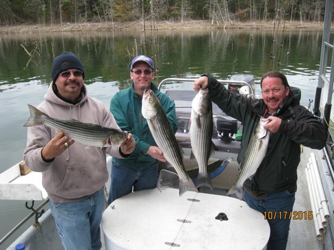 Nice Striped Bass